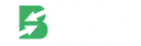 Bolsa de Aposta